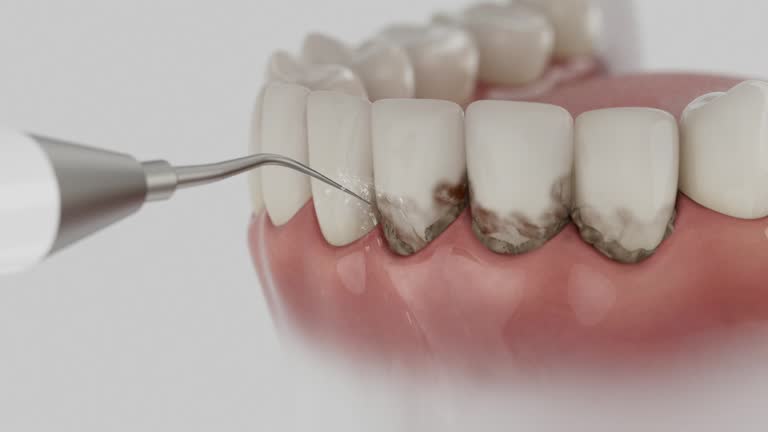 Reliable Dental contractor in Winona Lake, IN by Dentist Open Now